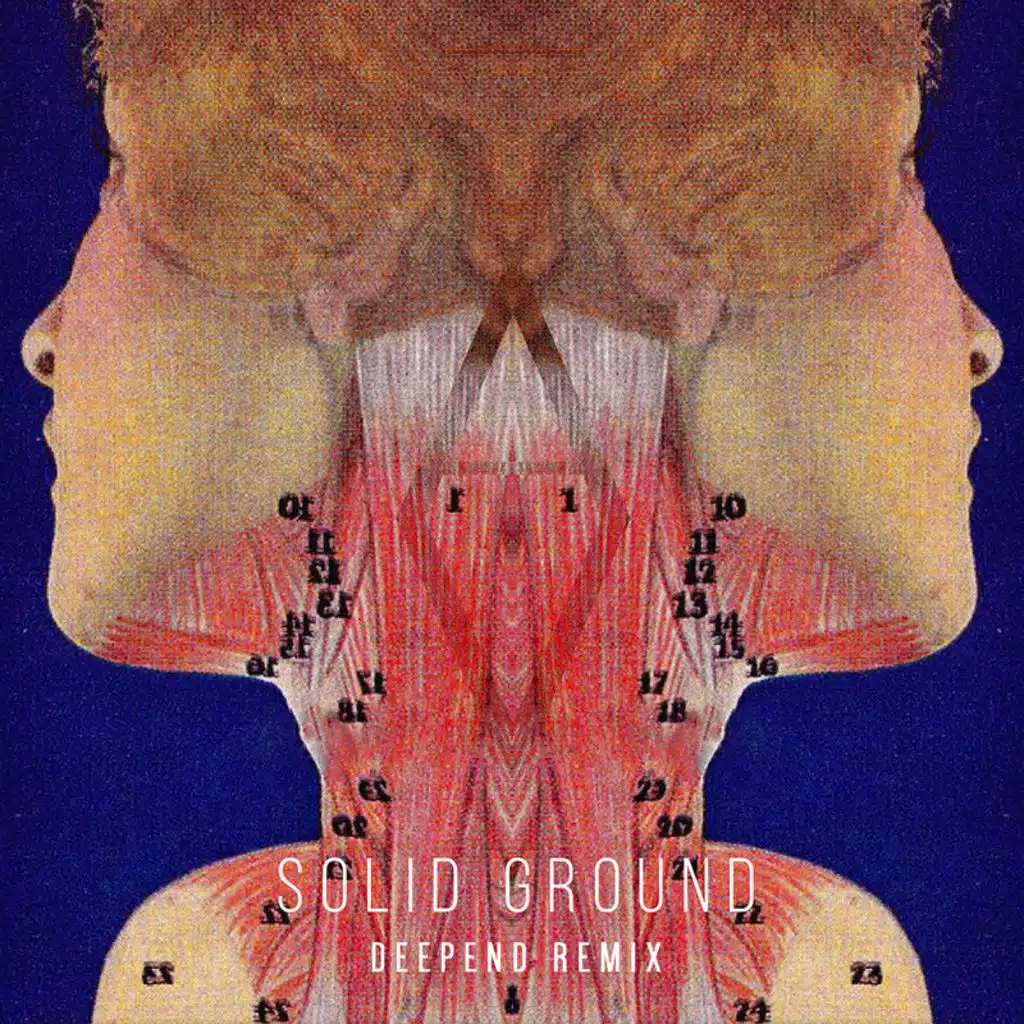 Solid Ground (Deepend Remix) [feat. Falco van den Aker & Bob Marijn van Ratingen]
