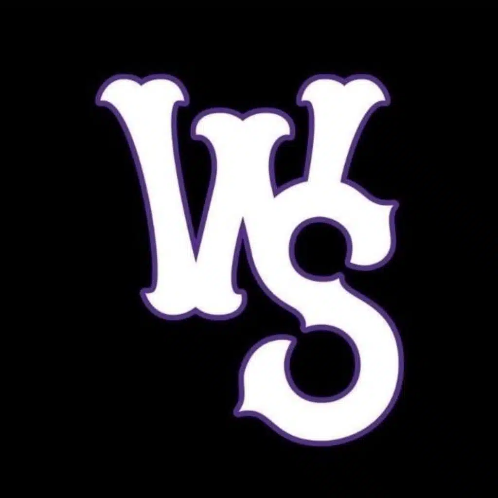 Winston-Salem Dash
