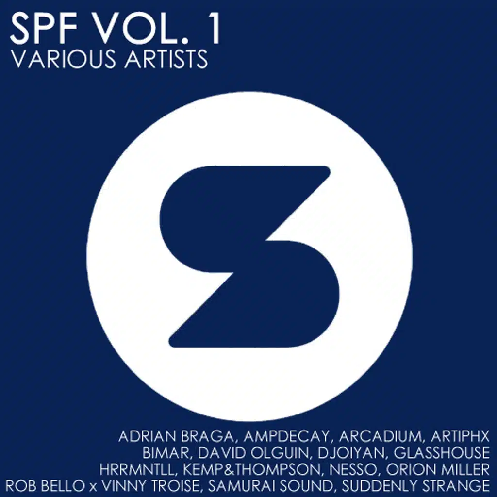 The Rhythm (Original Mix)