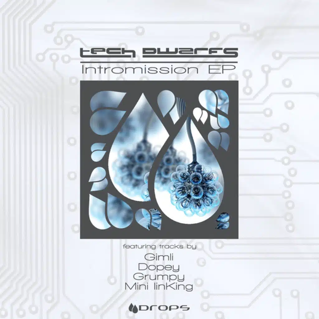 TECH Dwarfs' Intromission