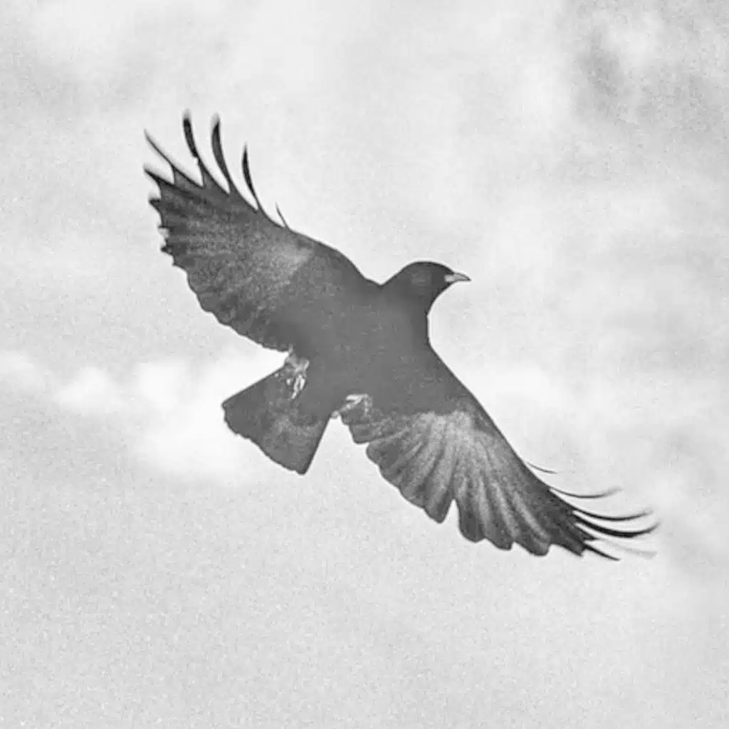 A Game of Thrones | House of the Dragon