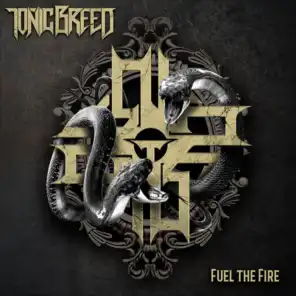 Fuel the Fire (feat. Dirk Verbeuren & Bernt Jansen)