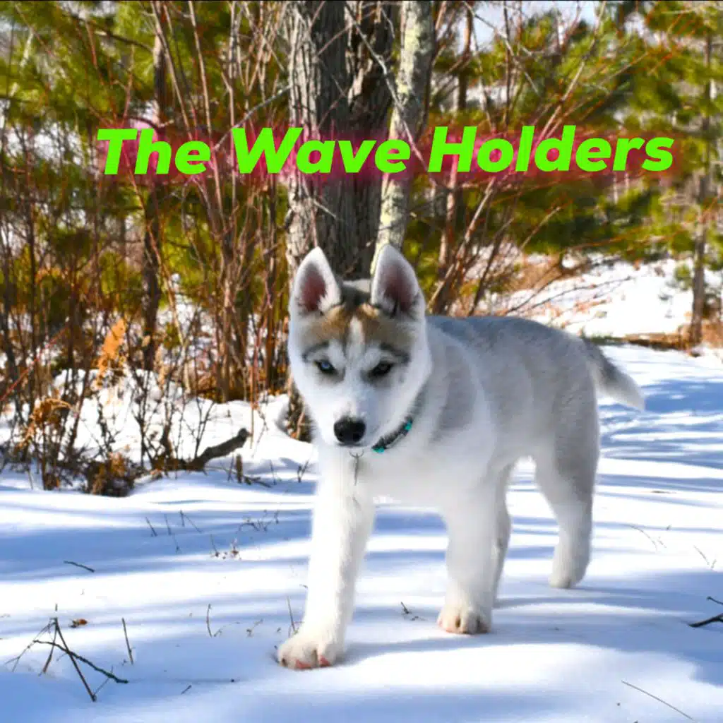 The Wave Holders (Instrumental)