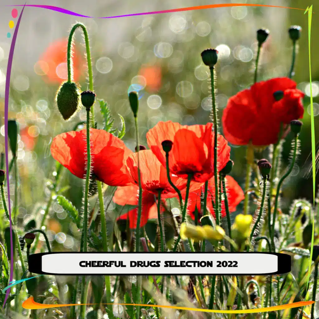 CHEERFUL DRUGS SELECTION 2022