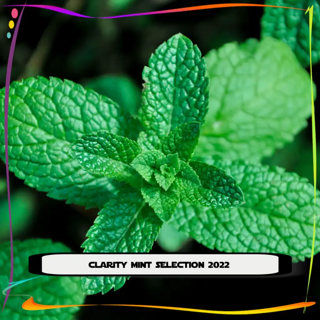 CLARITY MINT SELECTION 2022