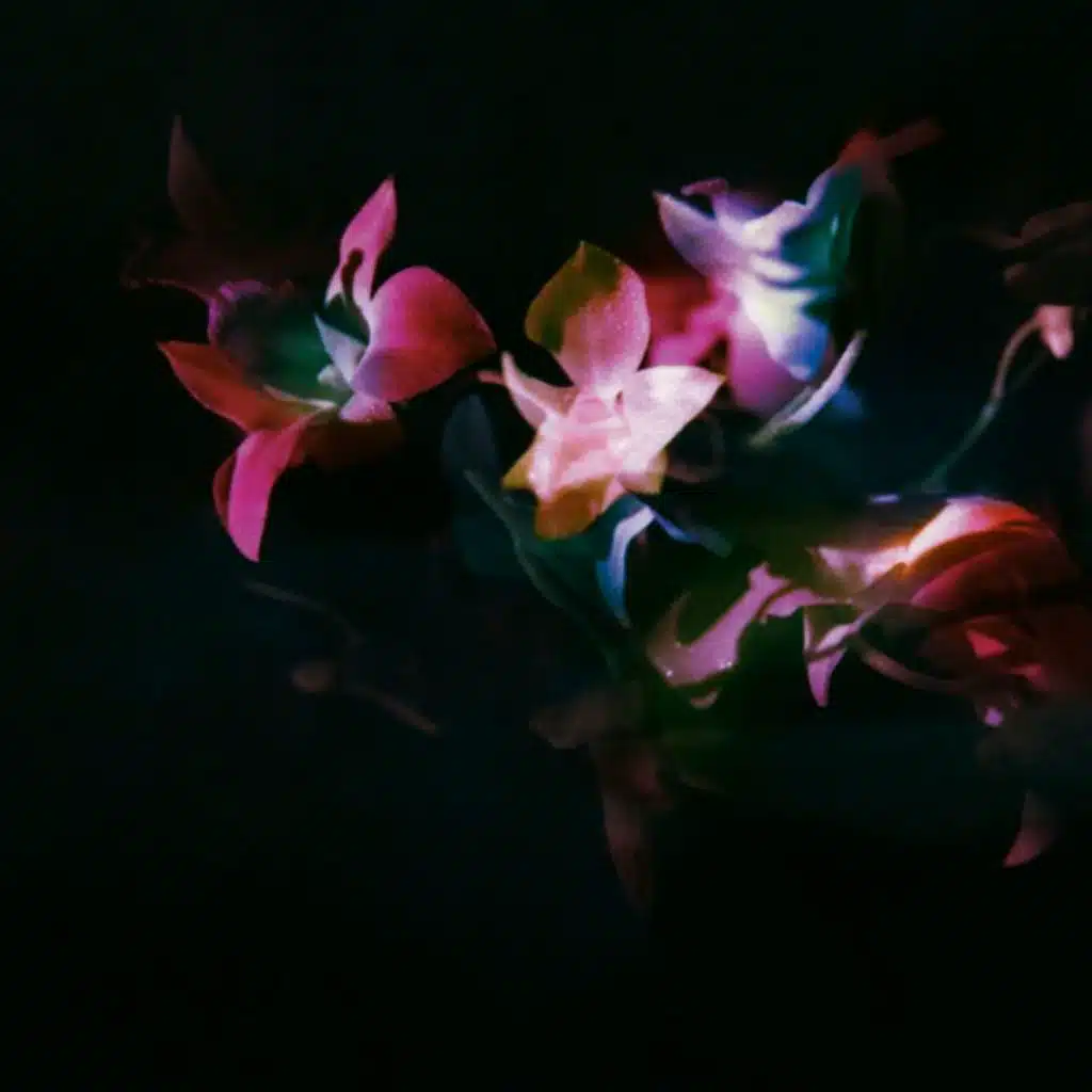 Chad Lawson, Royal Philharmonic Orchestra & James Southall