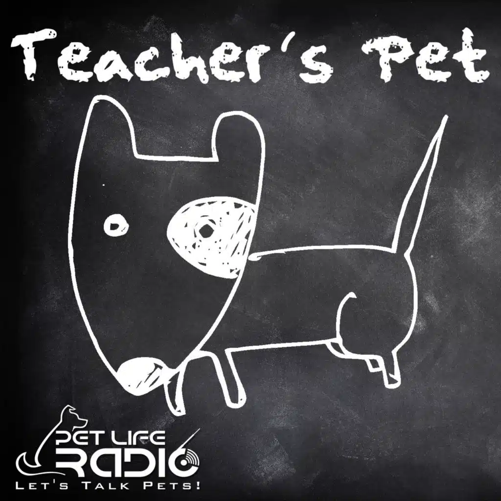 Teacher's Pet Podcast - Training Pets & Pet Obedience  - Pet Life Radio Original