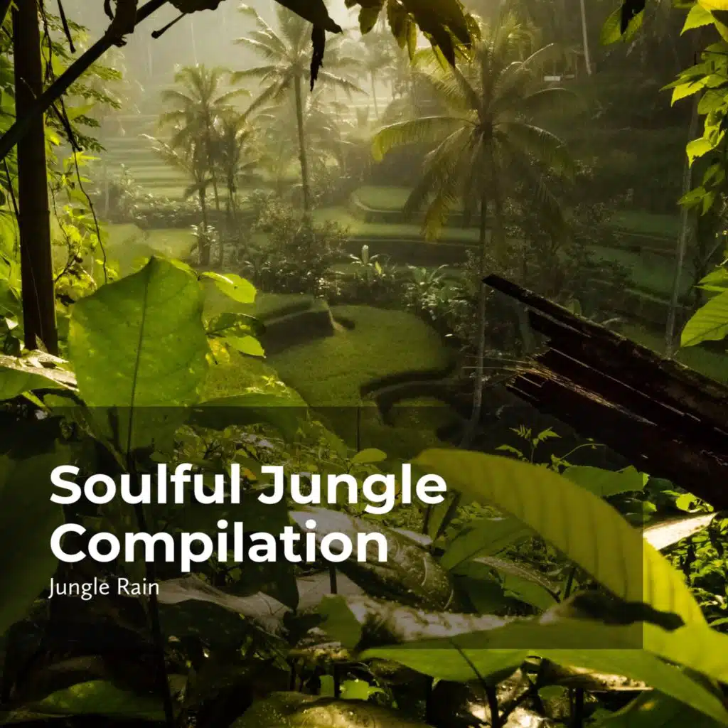 Soulful Jungle Compilation