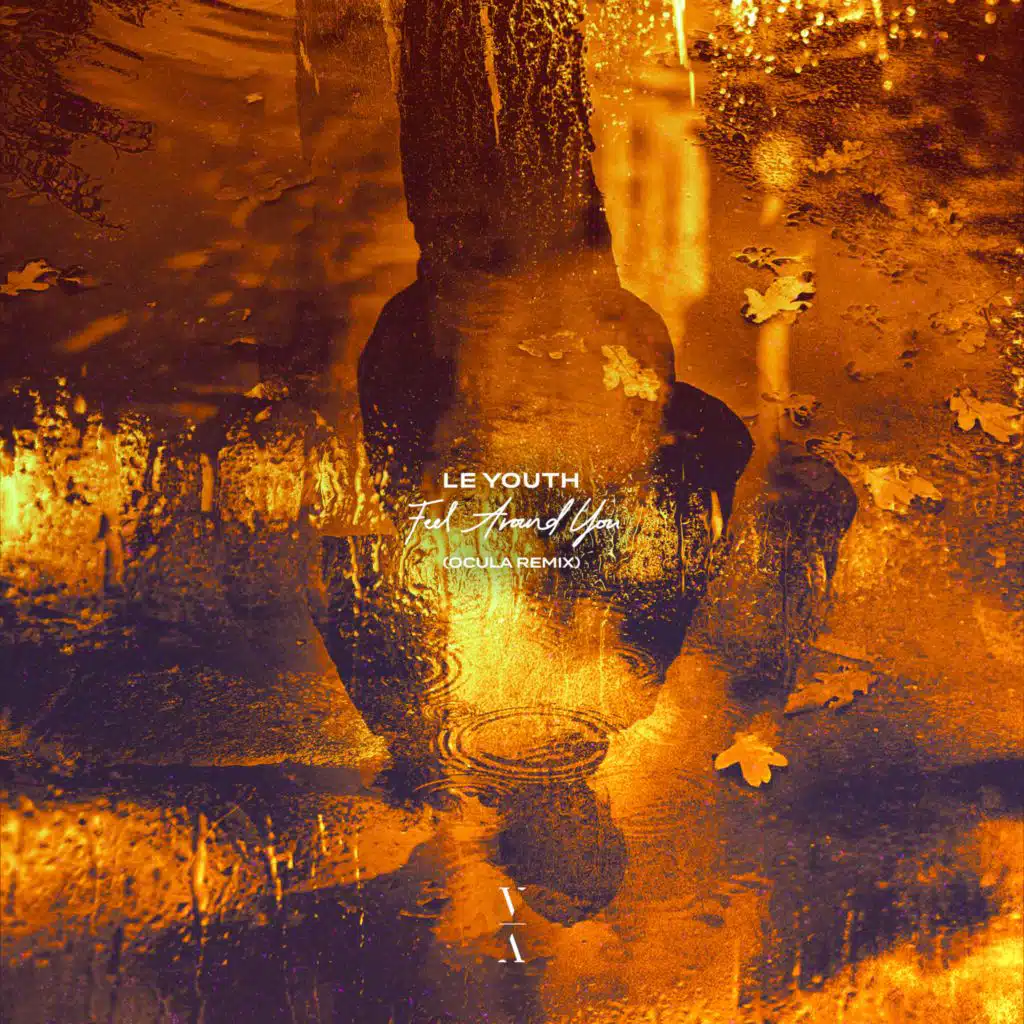 Feel Around You (OCULA Remix) [feat. LeyeT]
