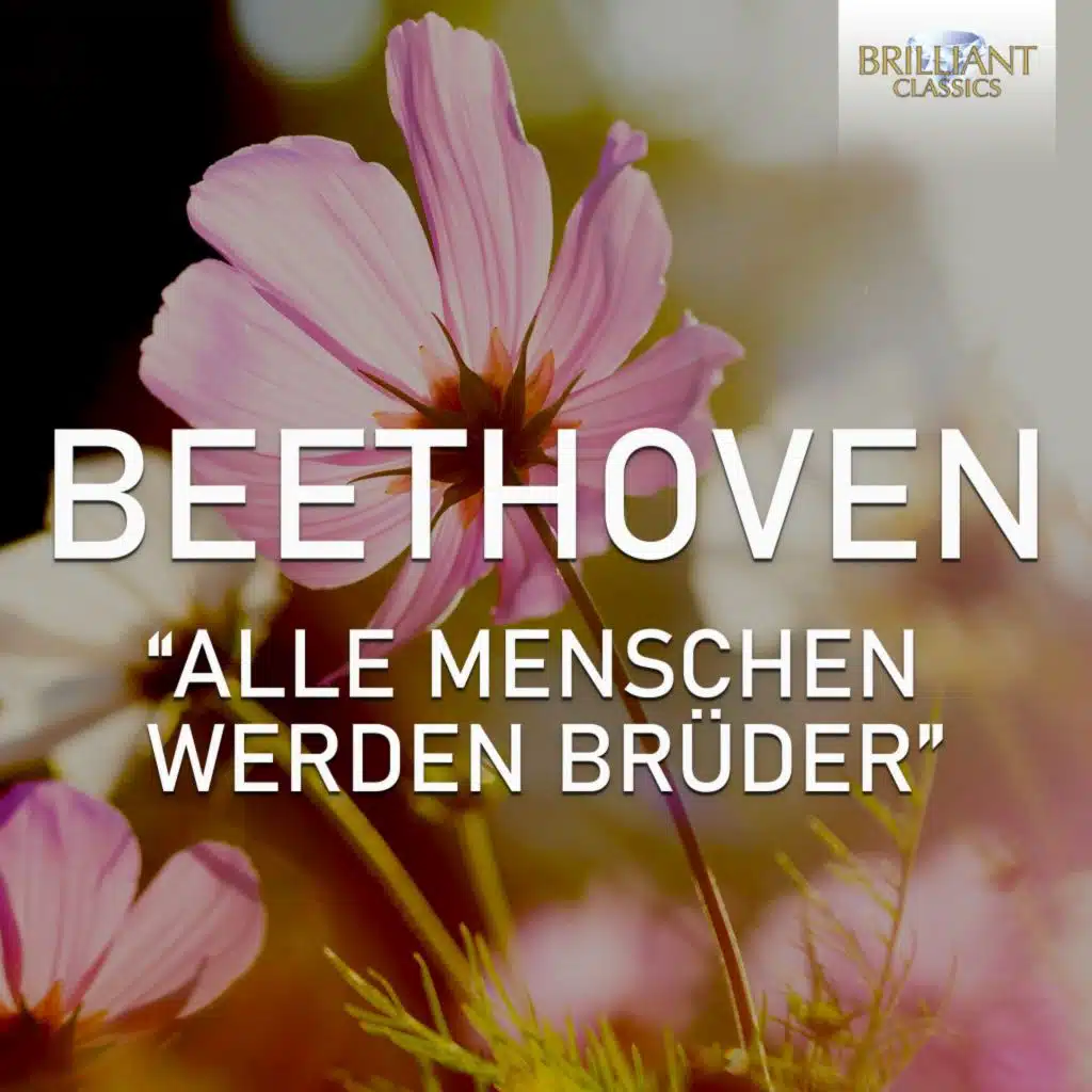 Symphony No. 9 in D Minor, Op. 125: IV. Presto - Allegro assai