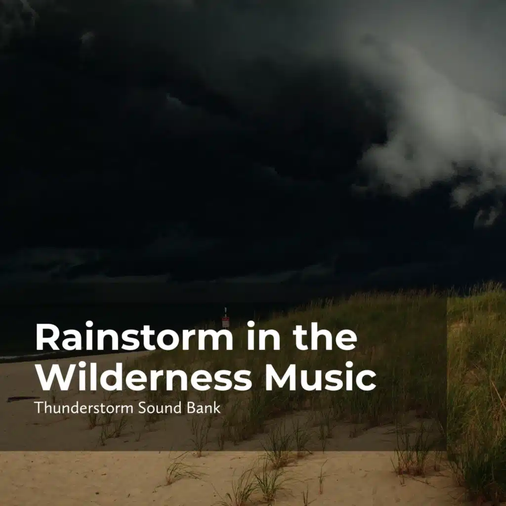 Rainstorm in the Wilderness Music