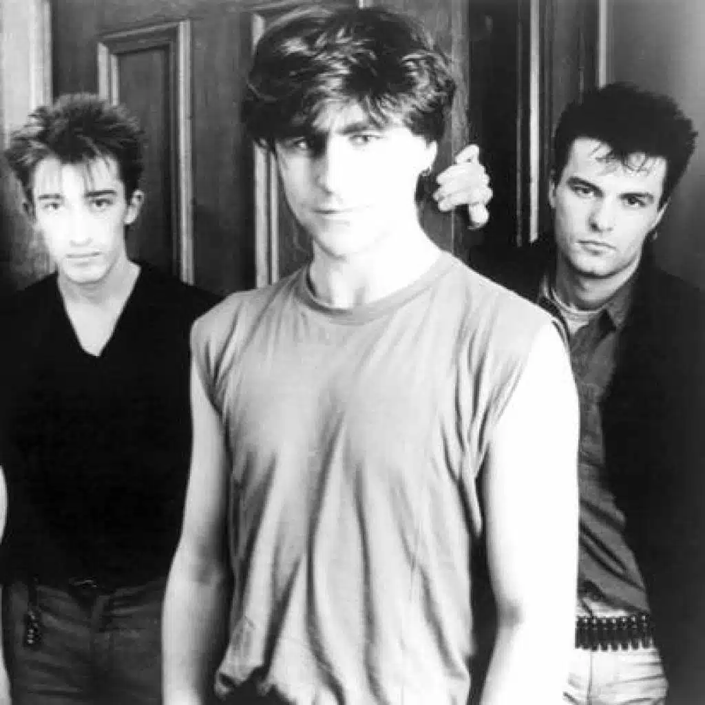 The Chameleons