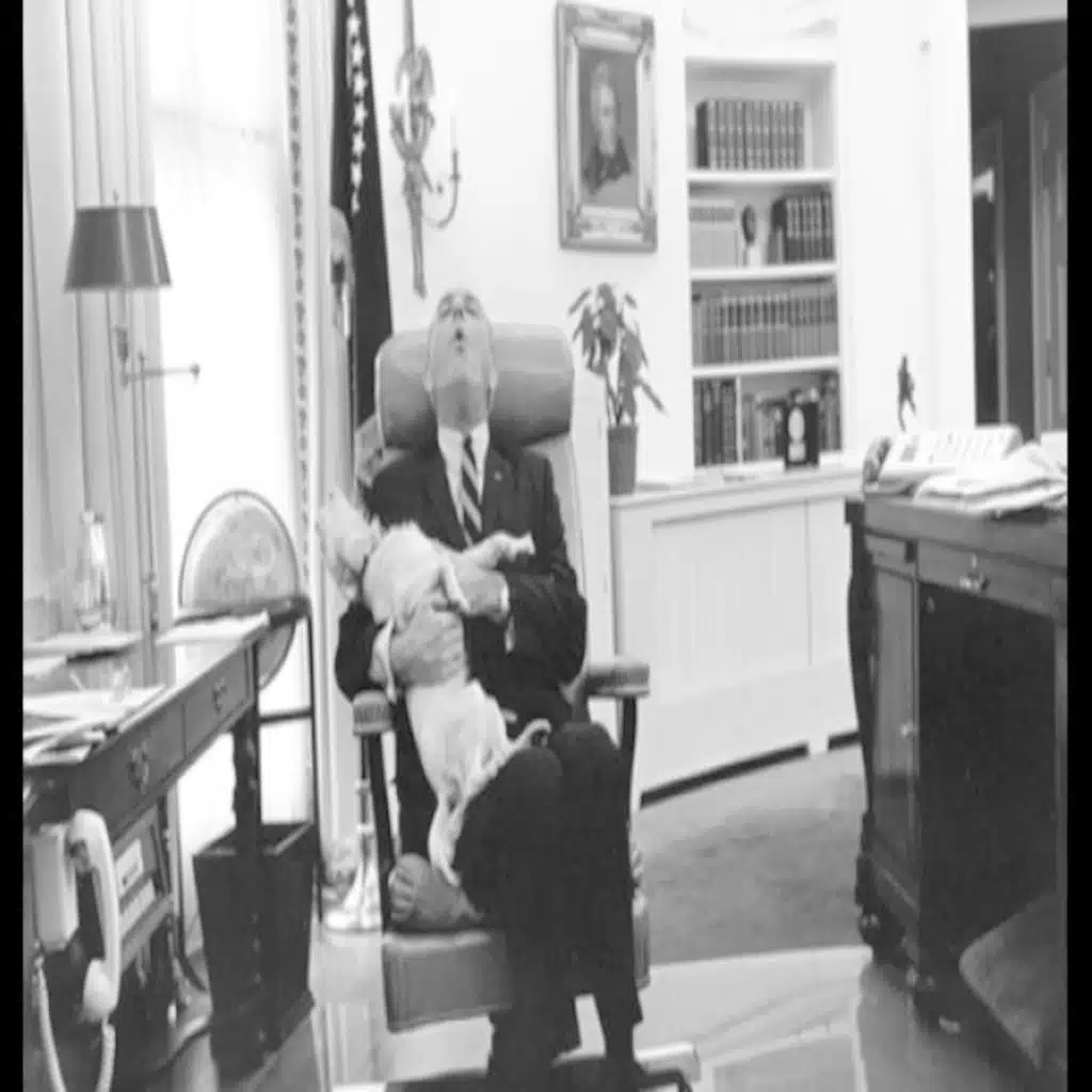 You're The Man Now, Dog II