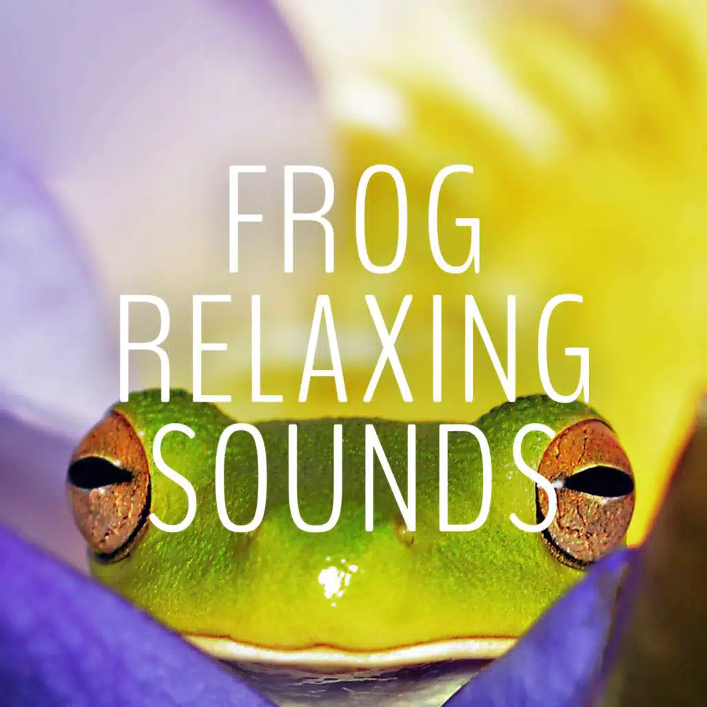 Frog Sounds & Sleep Crickets