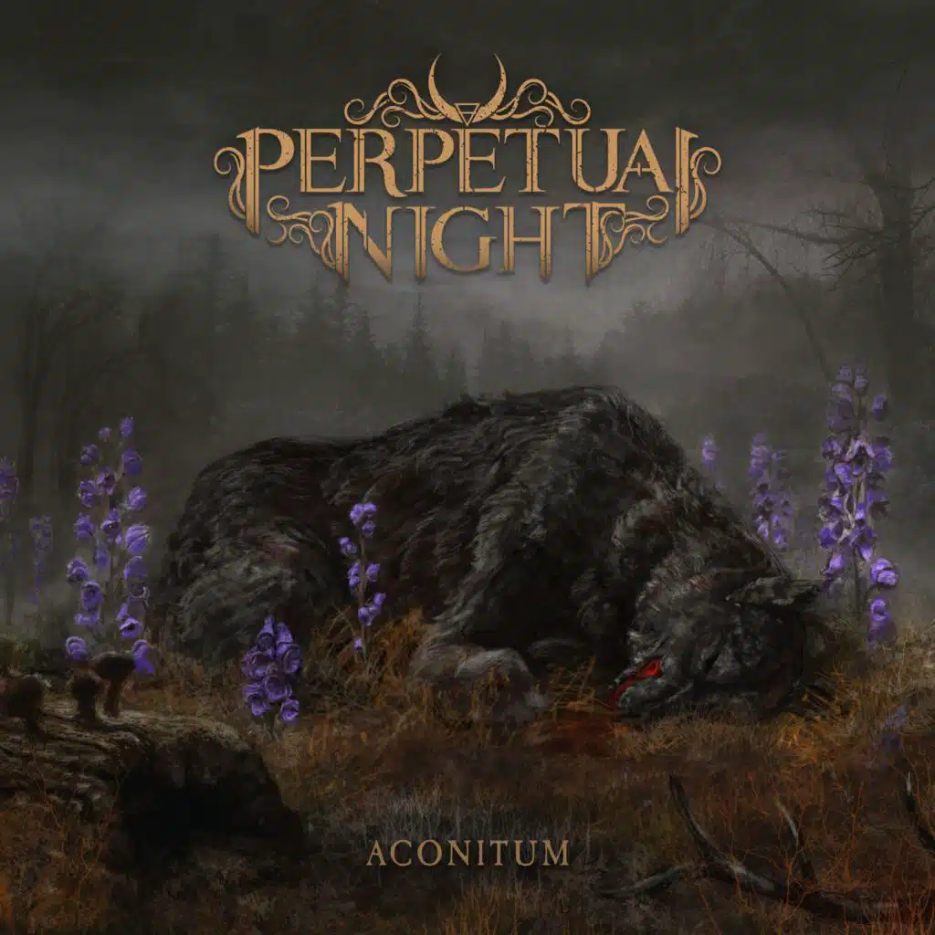 Perpetual Night