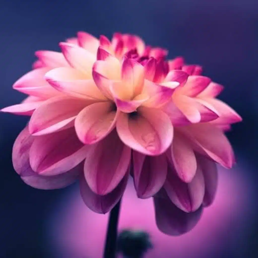  ابتسمي ارجوك ابتسمي ... 