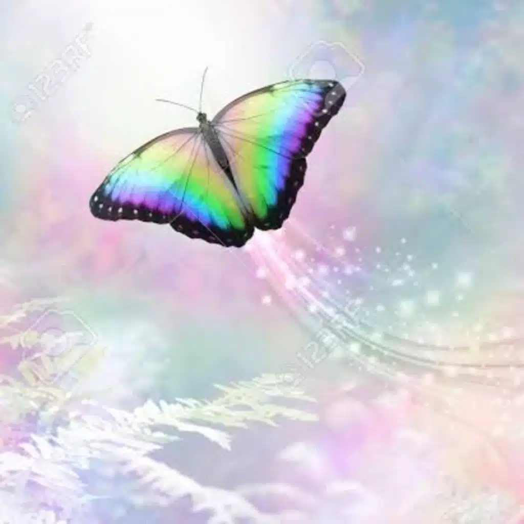 خاطرة أرواحٌ جَمِيلةٌ ... 