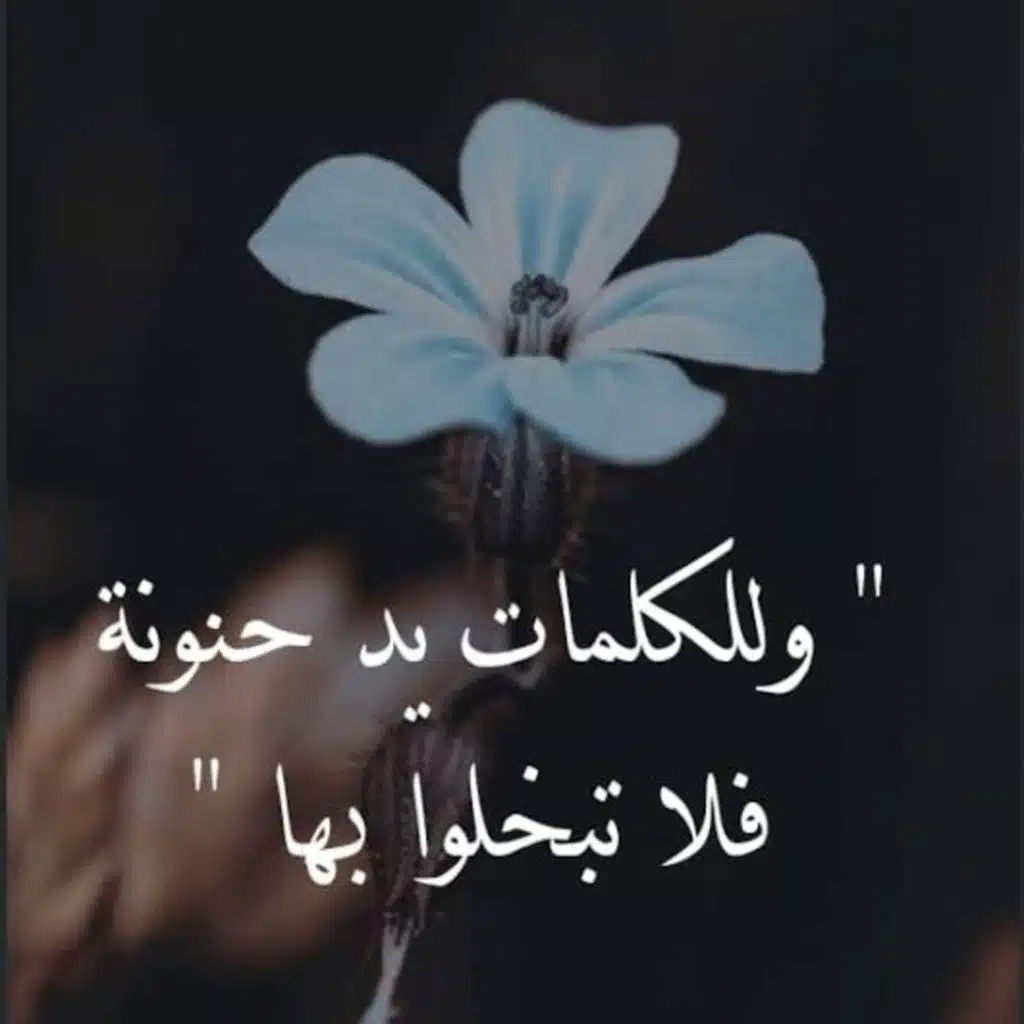 خاطرة في حيوات بعضنا البعض ... 