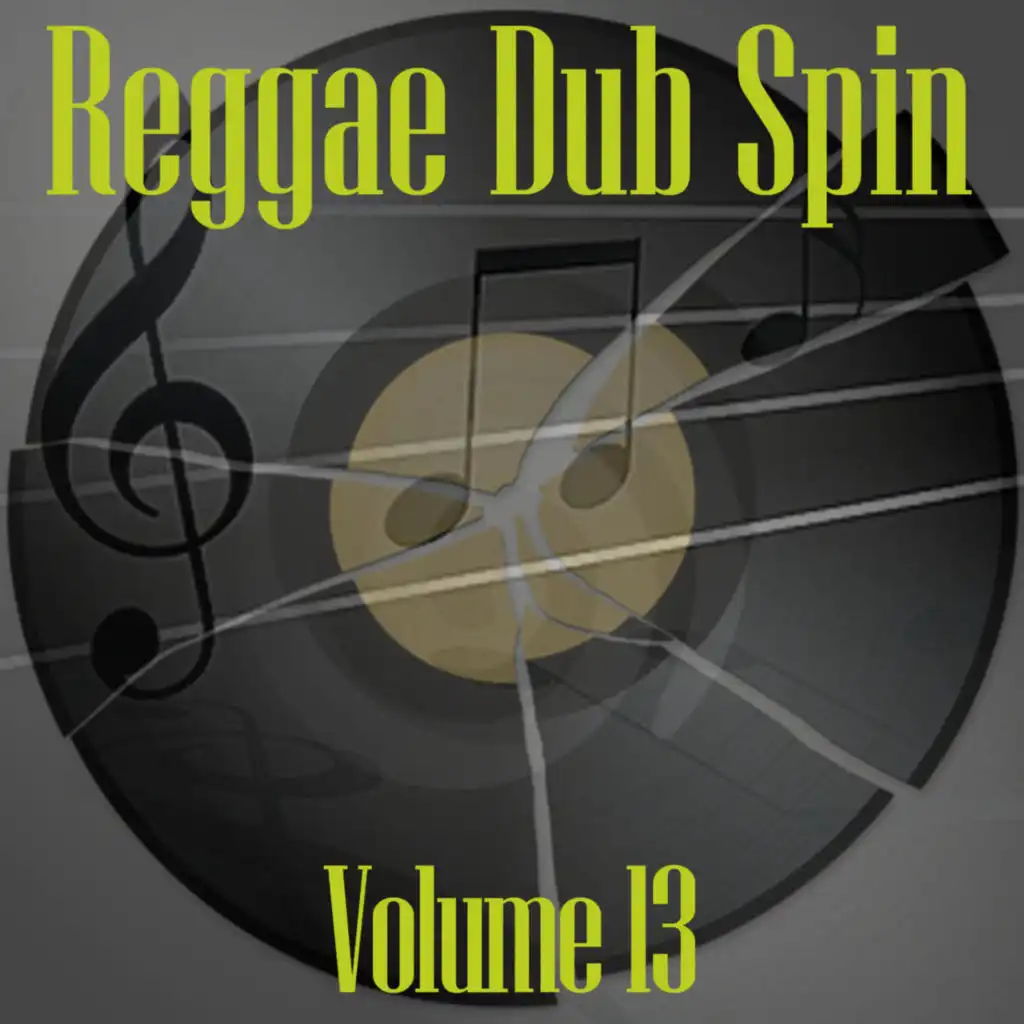 Reggae Dub Spin Vol 13