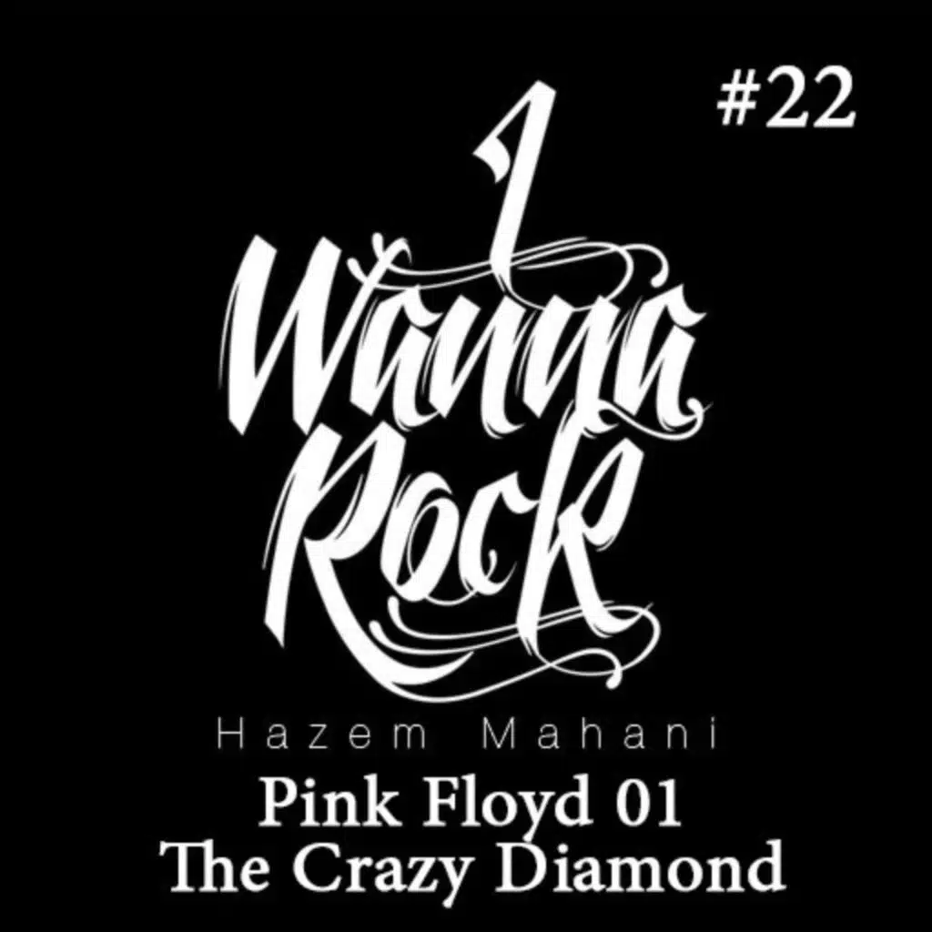 #22 Pink Floyd 01: The Crazy Diamond