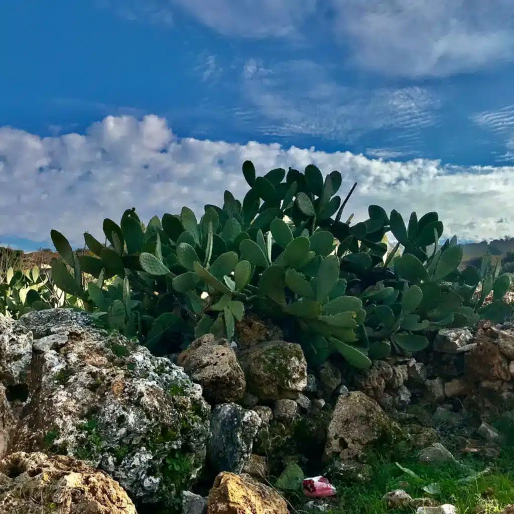 Sustainable Tourism, Lesson 1, Advanced level 