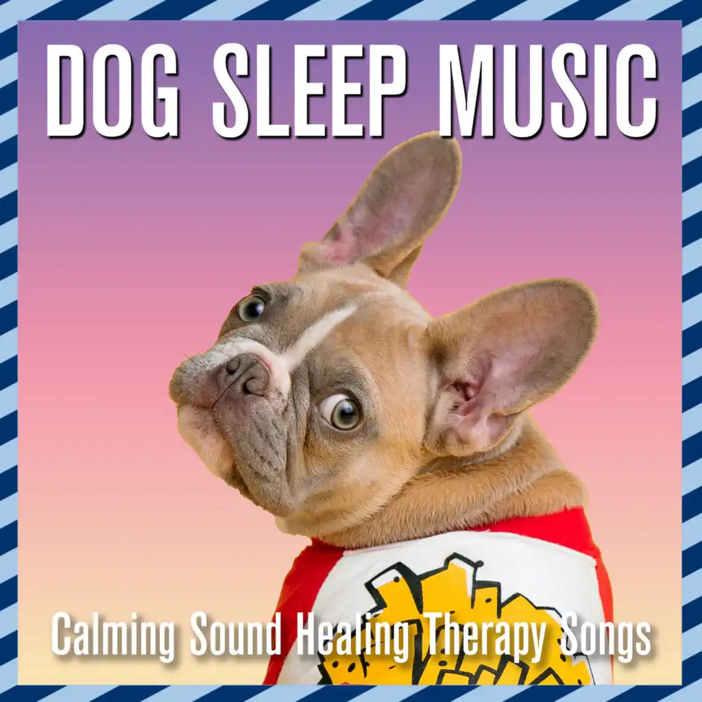 Dog Sleep Music: Calming Sound Healing Therapy Songs