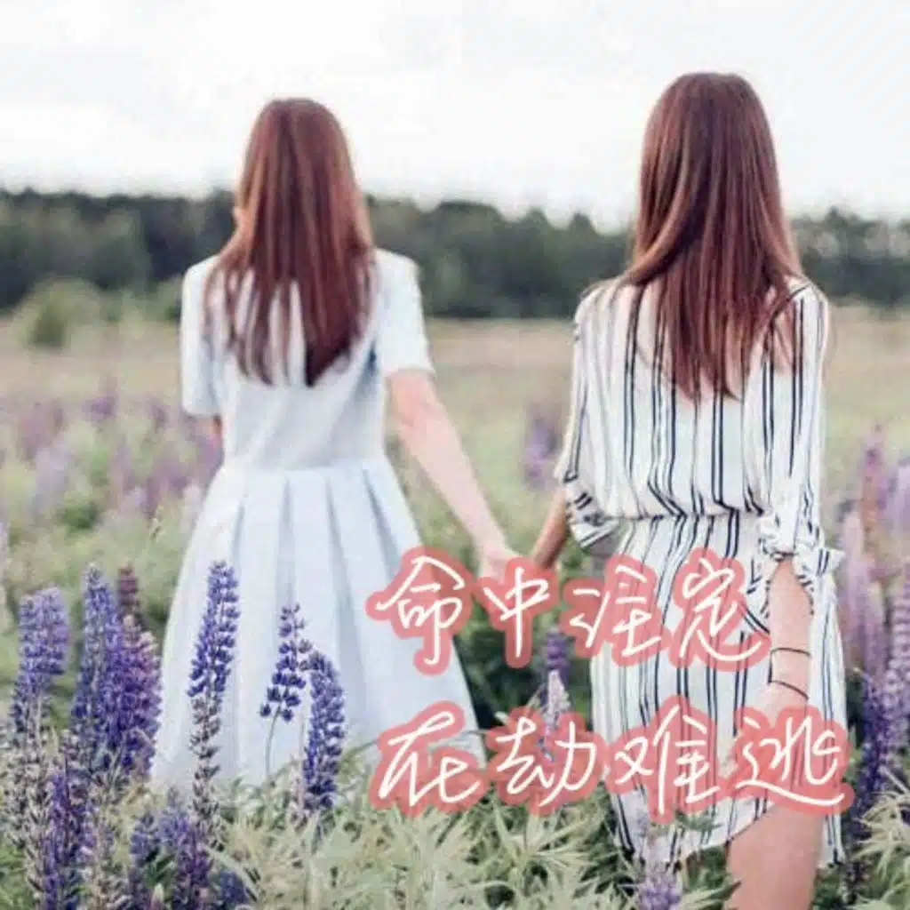 命中注定在劫难逃（现言｜御姐）