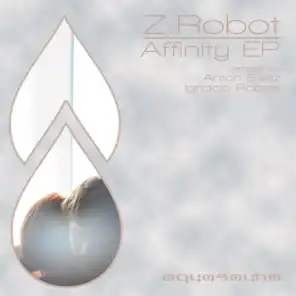 Affinity (Anton Stellz Remix)