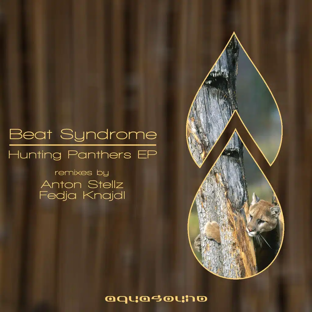 Beat Syndrome, Anton Stellz