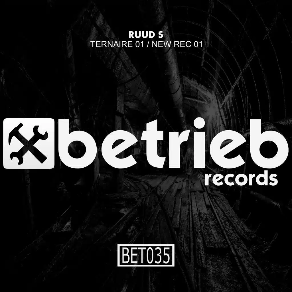 Ternaire 01 / New Rec 01