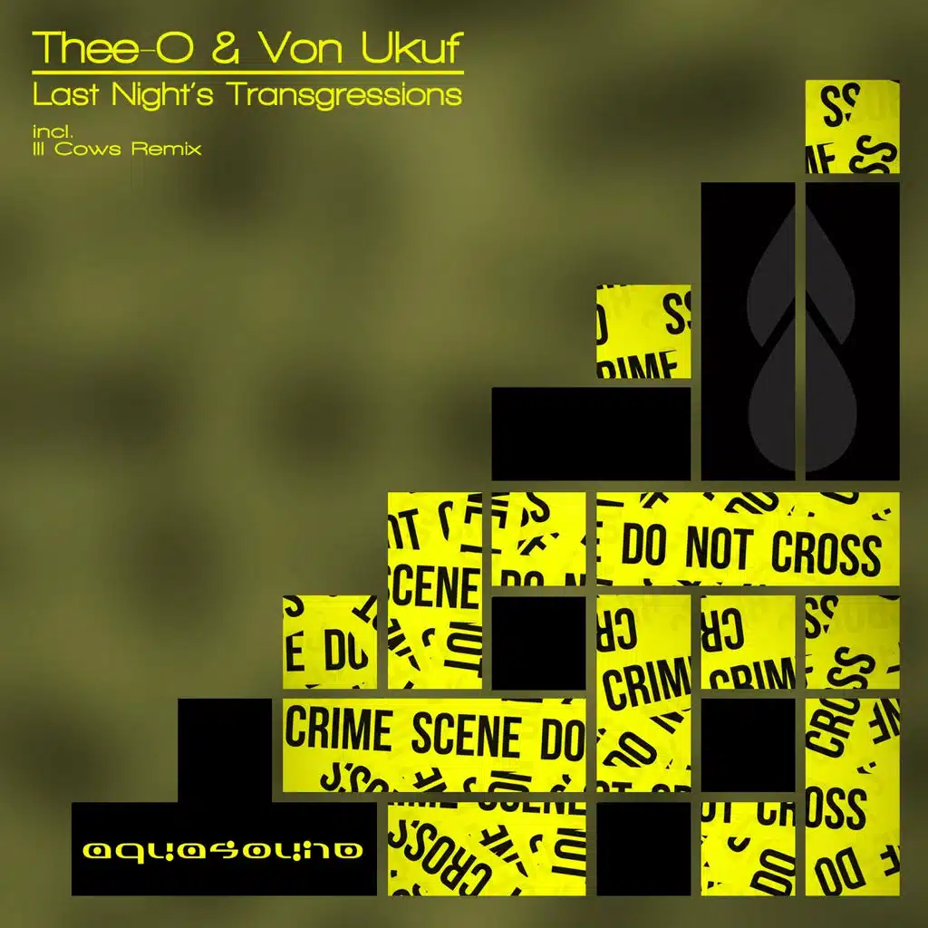 Last Night's Transgressions