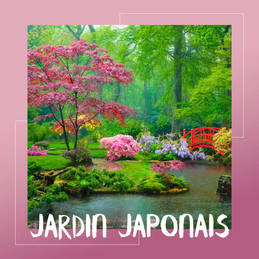 Jardin japonais: Spa détente profonde