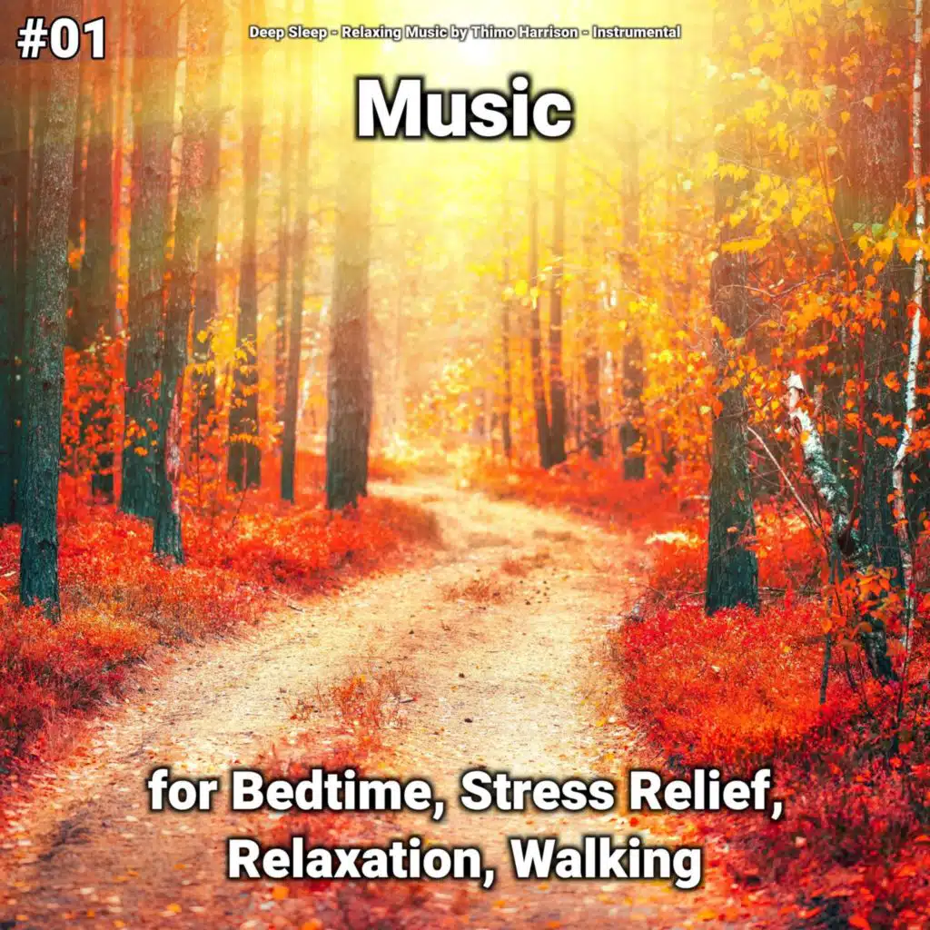 Relaxing Music by Thimo Harrison