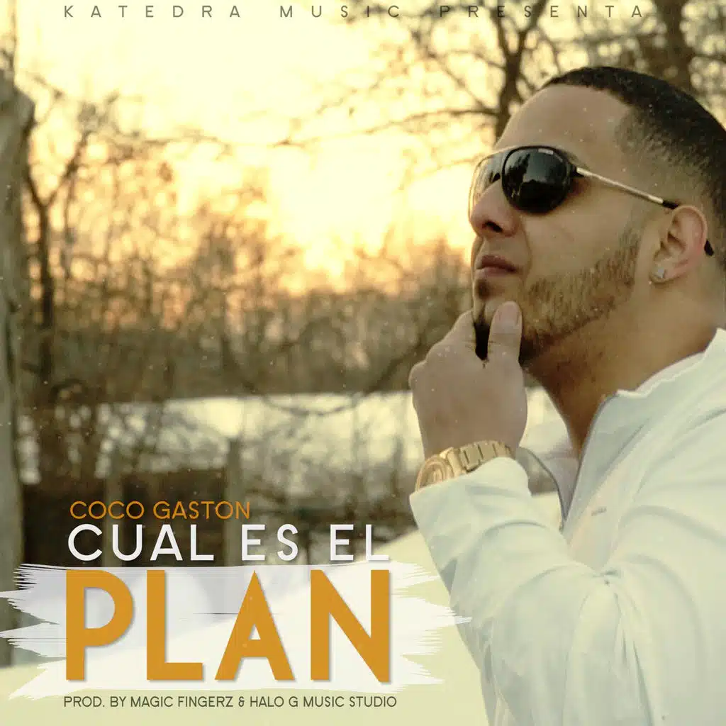 Cual Es El Plan
