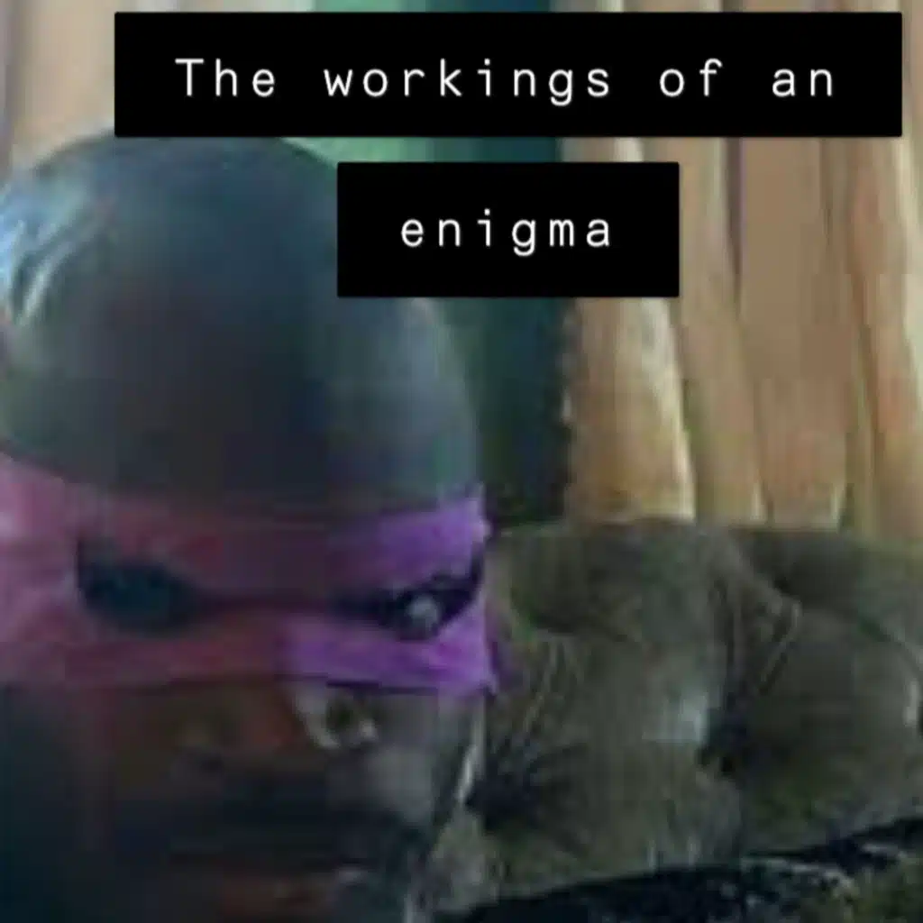 The workings of an enigma