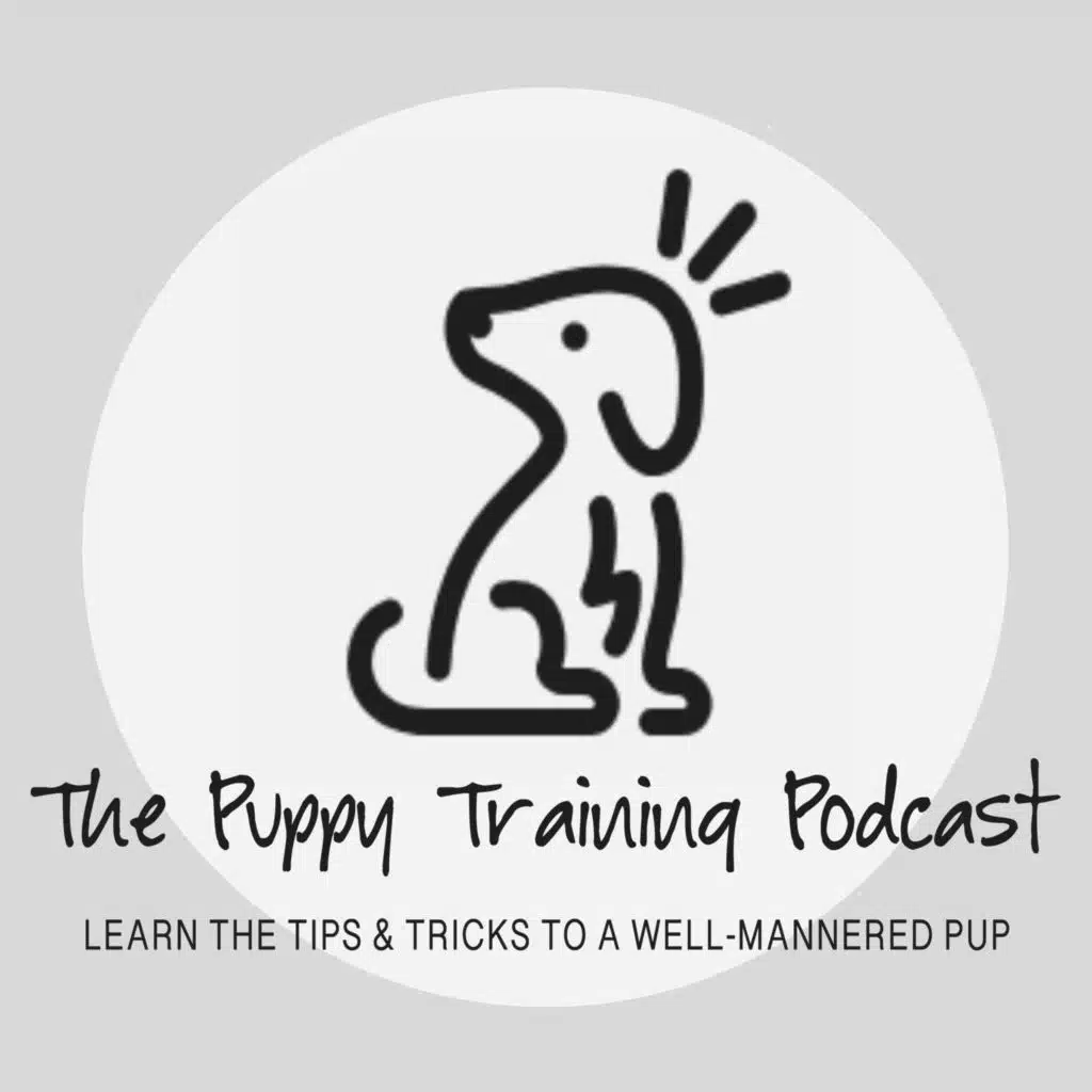 Baxter & Bella Puppy Training