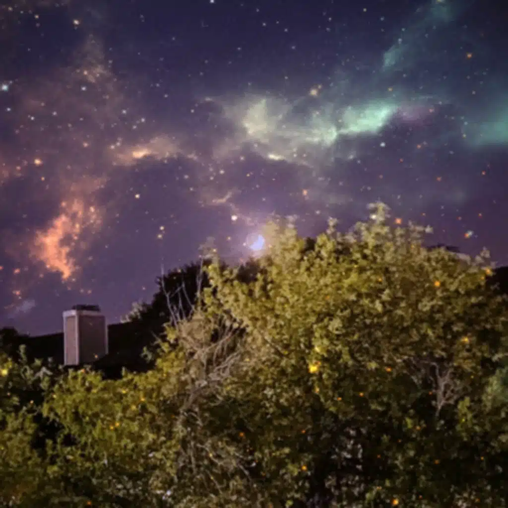 Story Time: Pay Attention To Your Dreams. ✨🦇