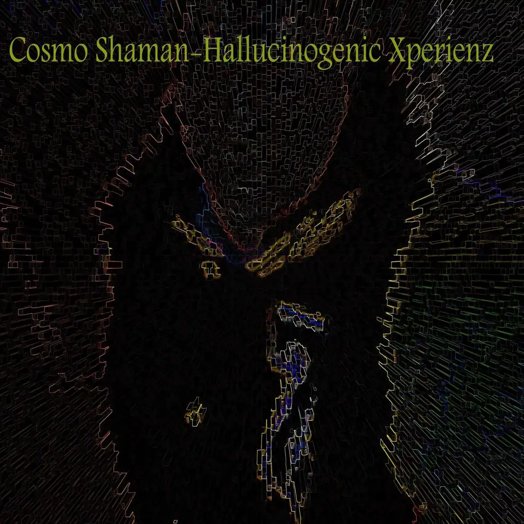 Hallucinogenic Xperienz (Original Mix)