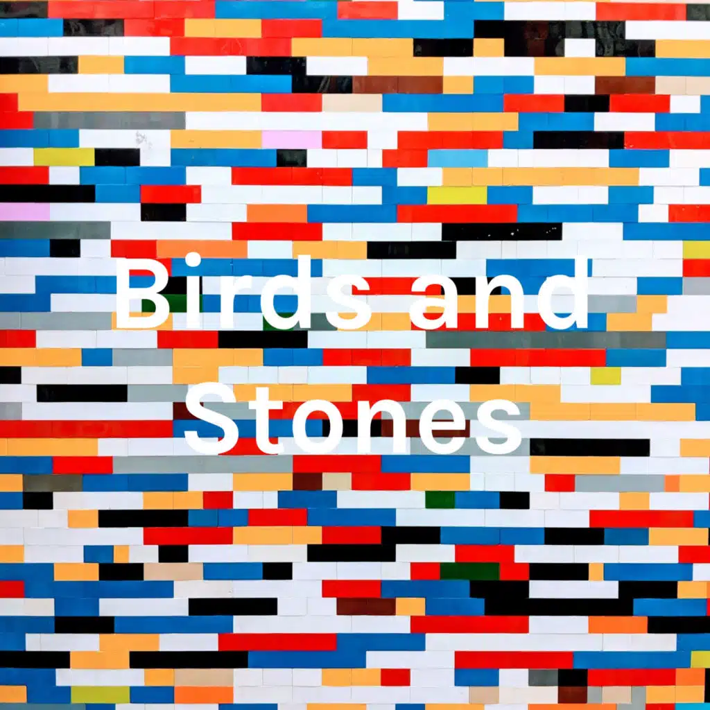 Birds and Stones