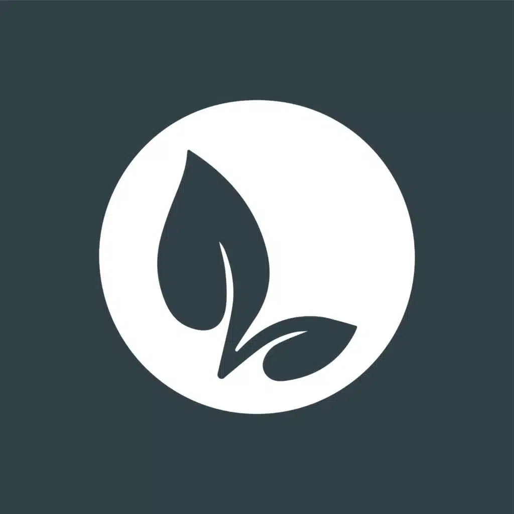 The Vine Community Church