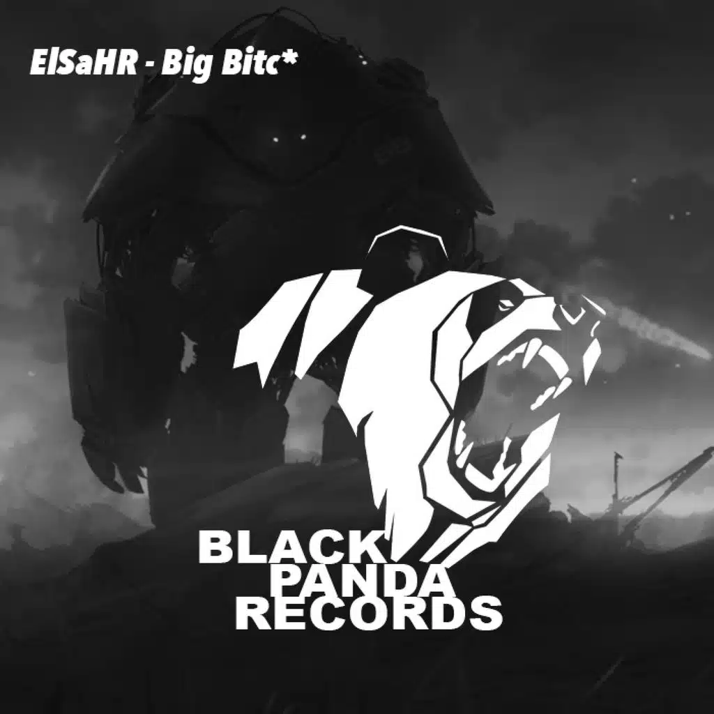 Big Bitc* (Original Mix)