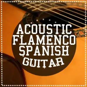 Acoustic Flamenco Spanish Guitar