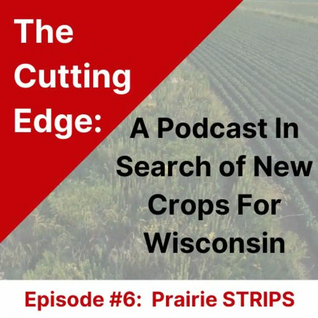 Episode #6: Prairie STRIPS