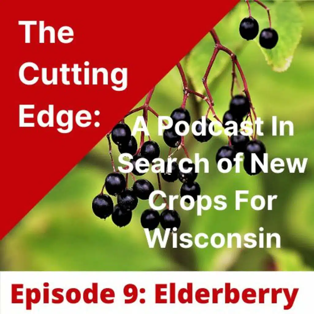 Episode #9: Elderberry