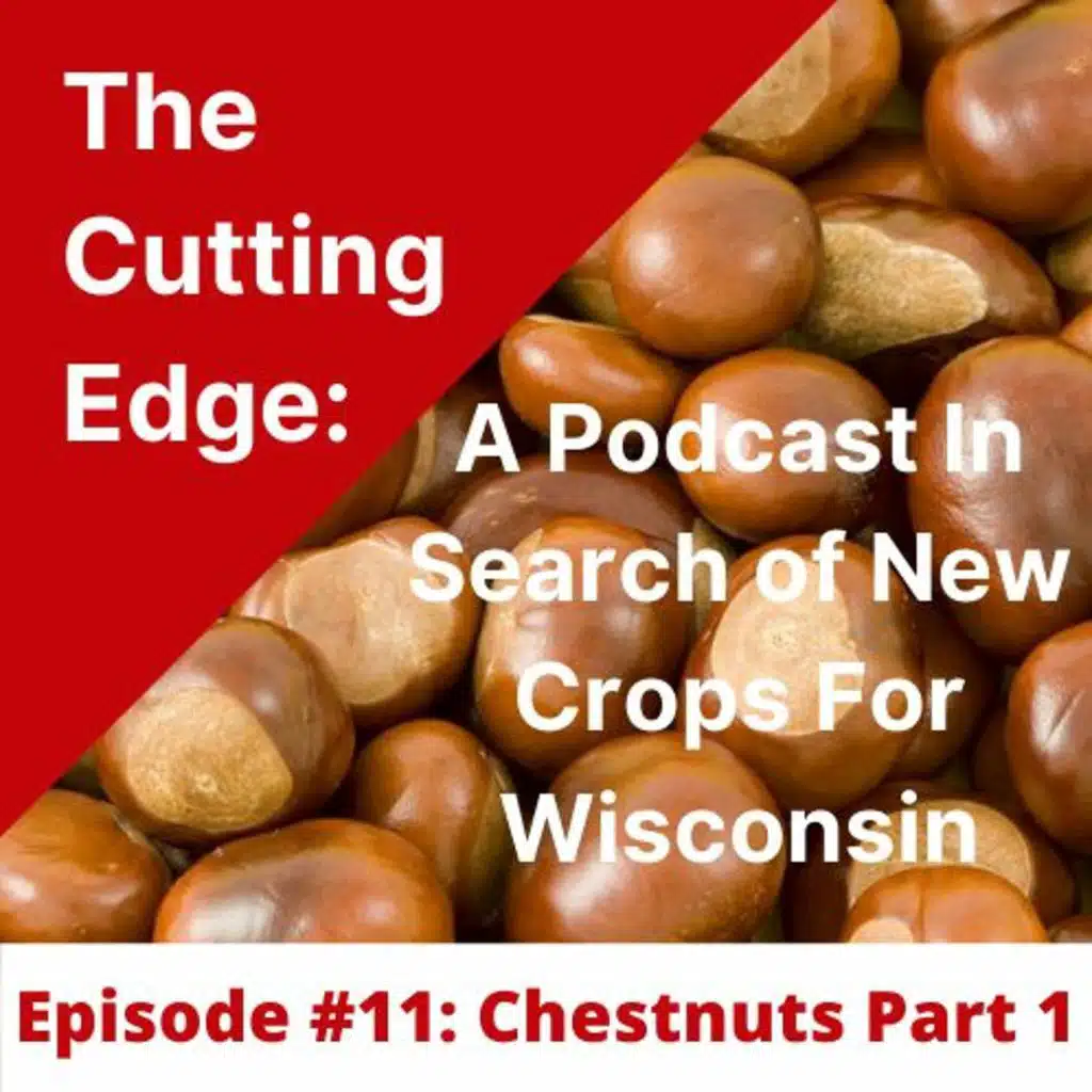 Episode #11: Chestnuts Part 1 - Breeding