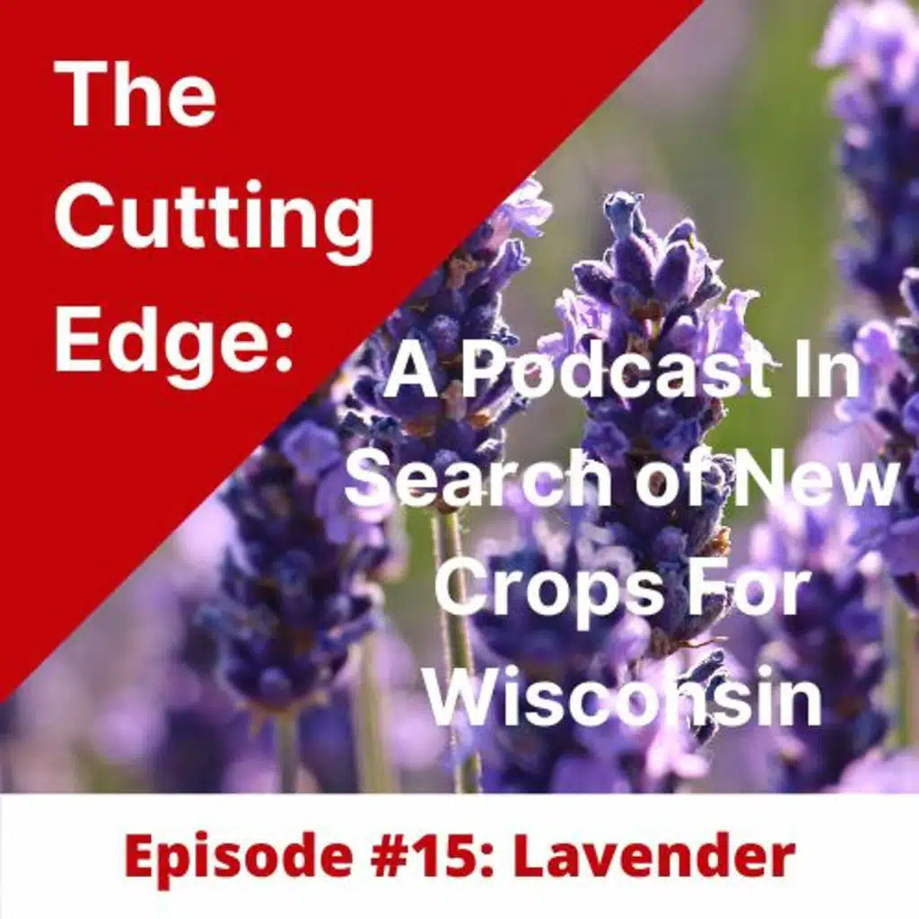 Episode #15: Lavender