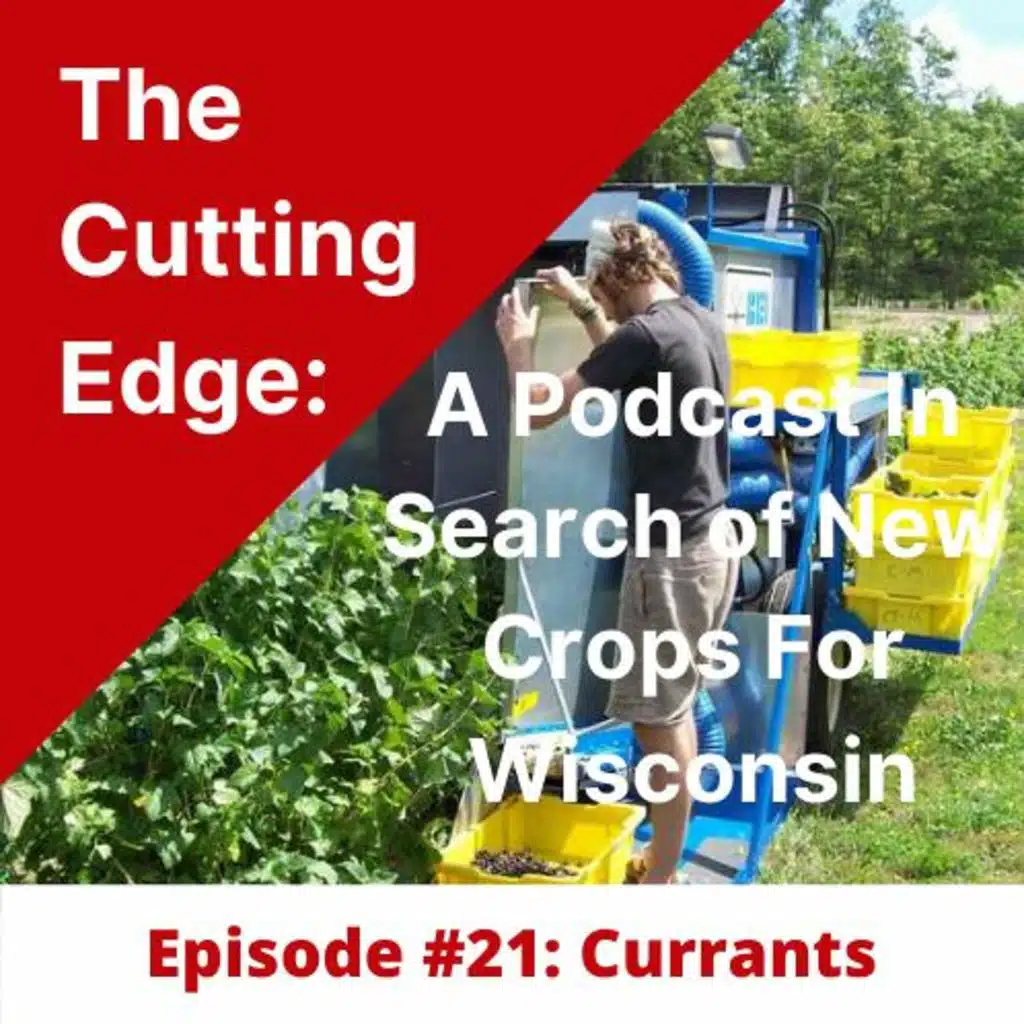 Episode #21: Currants