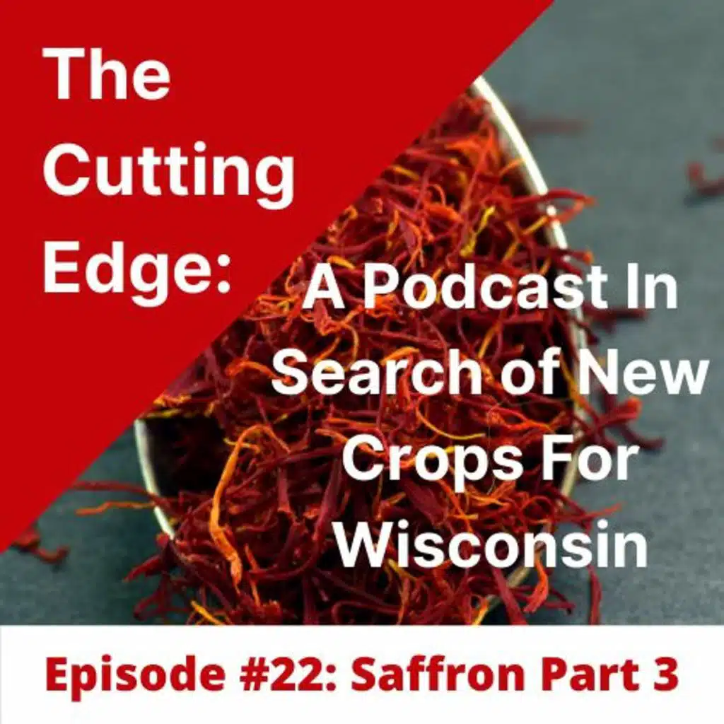 Episode #22: Saffron Part 3