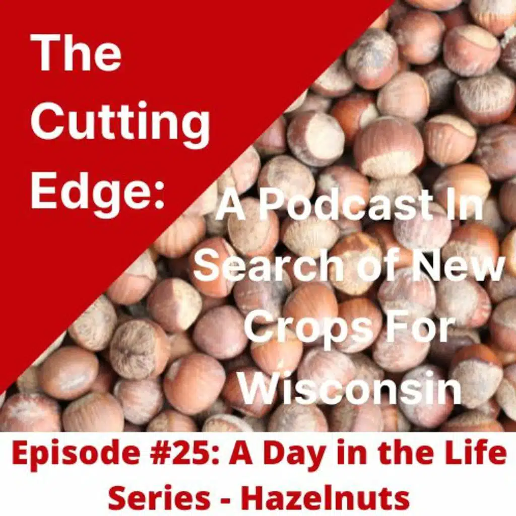 Episode #25: Day In The Life Hazelnuts