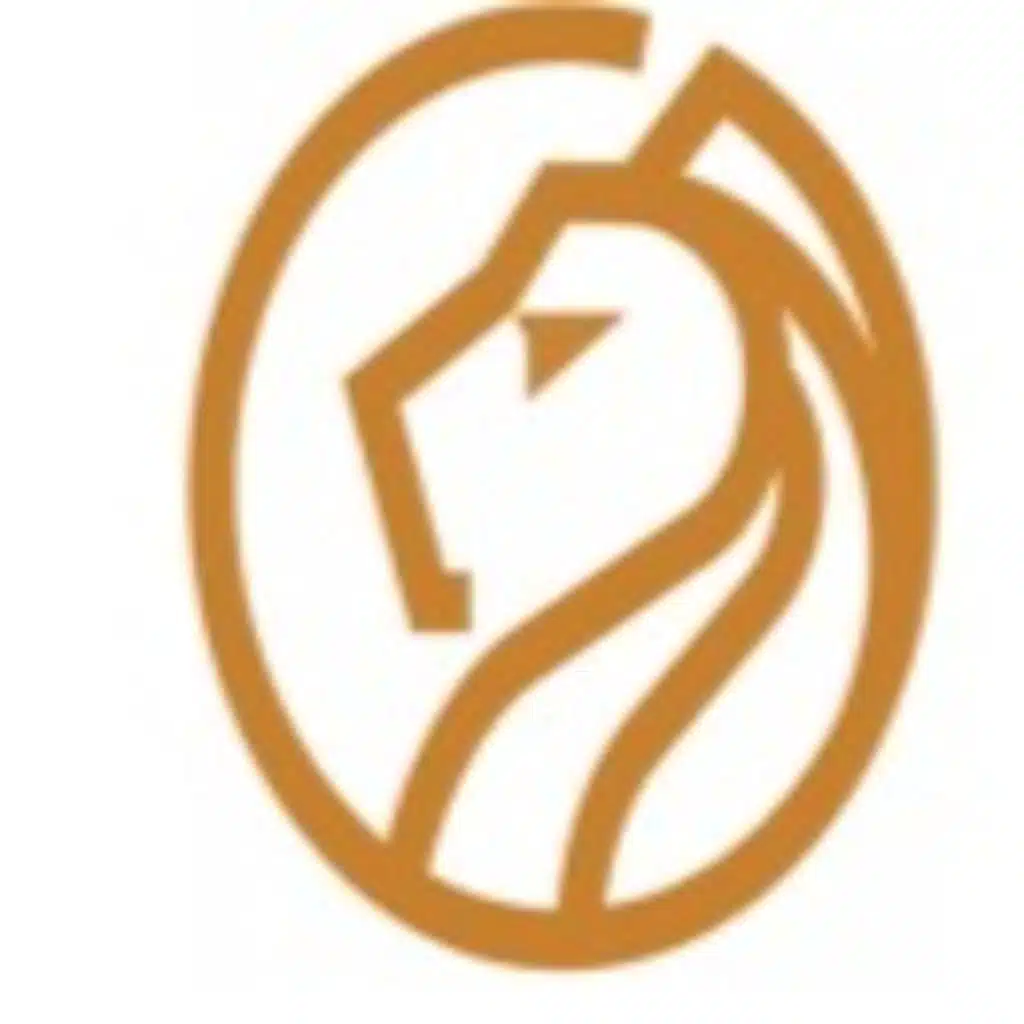 A Lioness Heart  (Trailer)